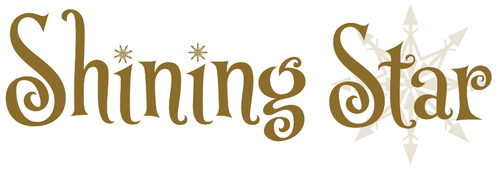 Shining Star Supplemental Holiday Program